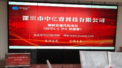 12塊55寸拼接屏助力江西樟樹(shù)百?；ㄔ沸^(qū)安全防范
